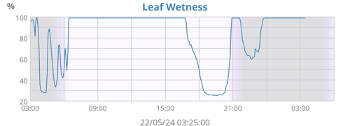 Leaf Wetness